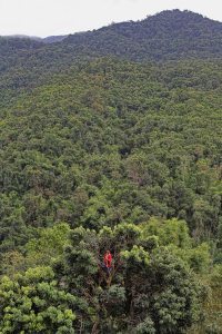 Hill tribes of Thailand