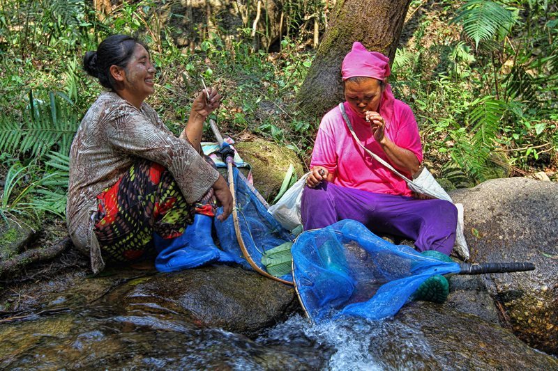 Hill Tribe Women