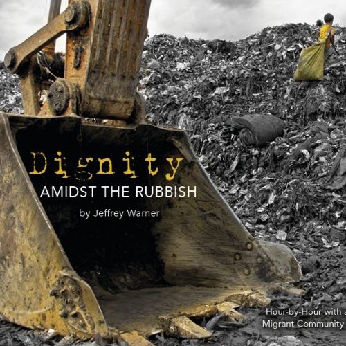 Dignity Amidst the Rubbish Book cover