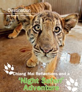 Night Safari Chiang Mai