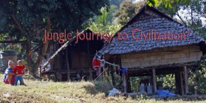 Jungle Journey to Civilisation