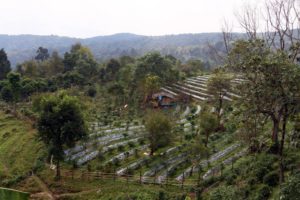 Hilltribe Villages