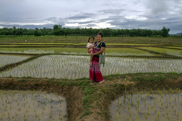 karen hilltribe woman standing in the rice field while holding her child